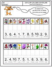 sıralama kavramı eşleştirme